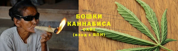 индика Аркадак