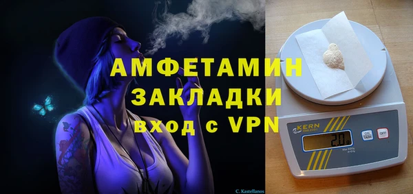индика Аркадак
