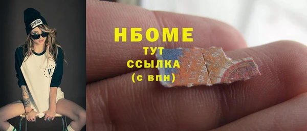 индика Аркадак
