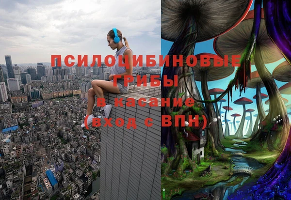индика Аркадак