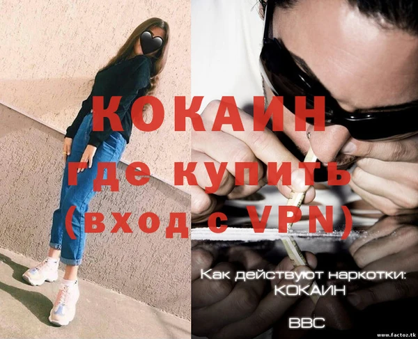 индика Аркадак
