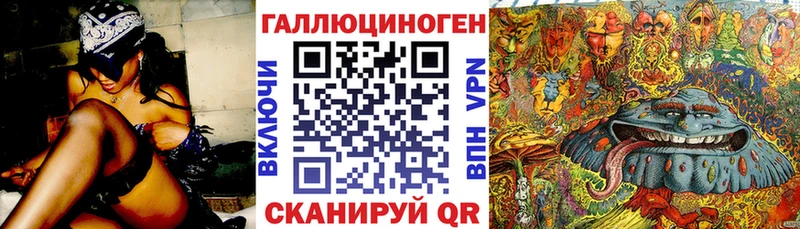 Псилоцибиновые грибы Cubensis Урай